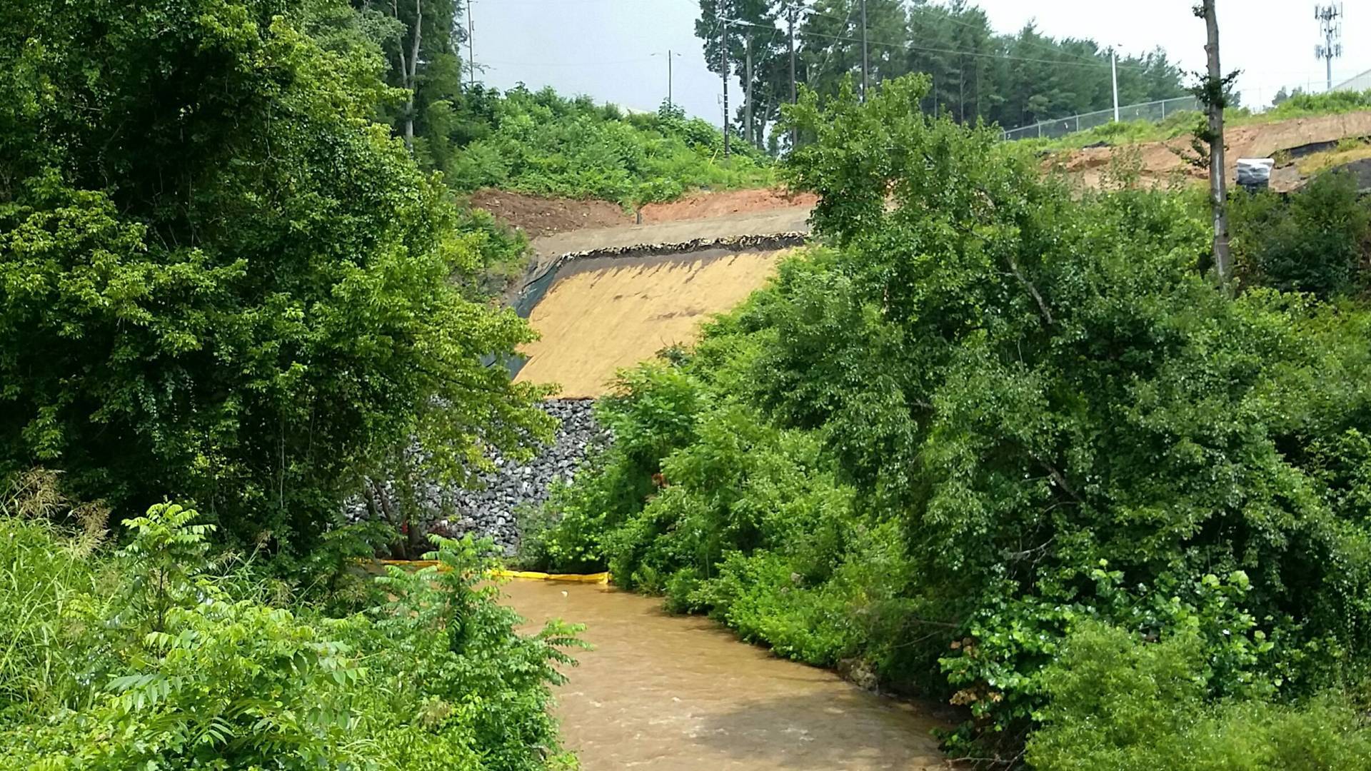 Asheville Slope Remediation